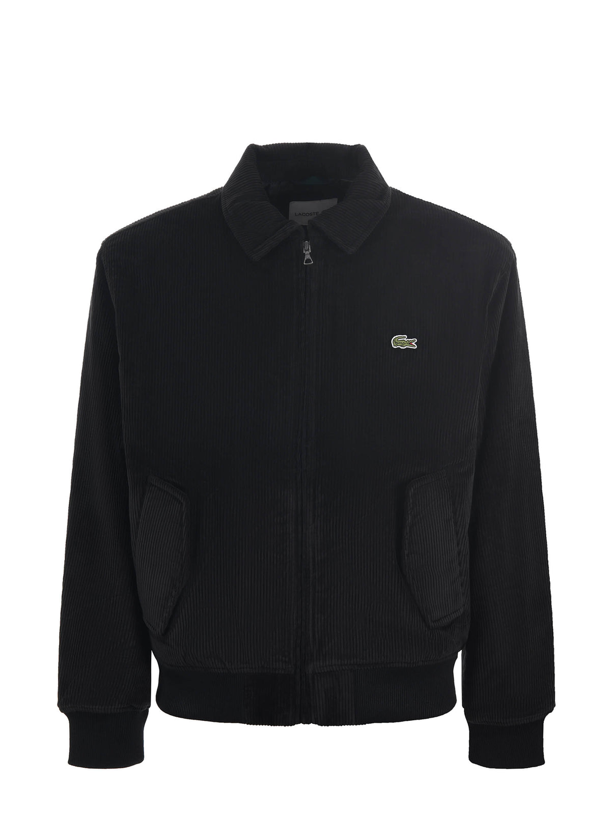 Giubbotto Lacoste 