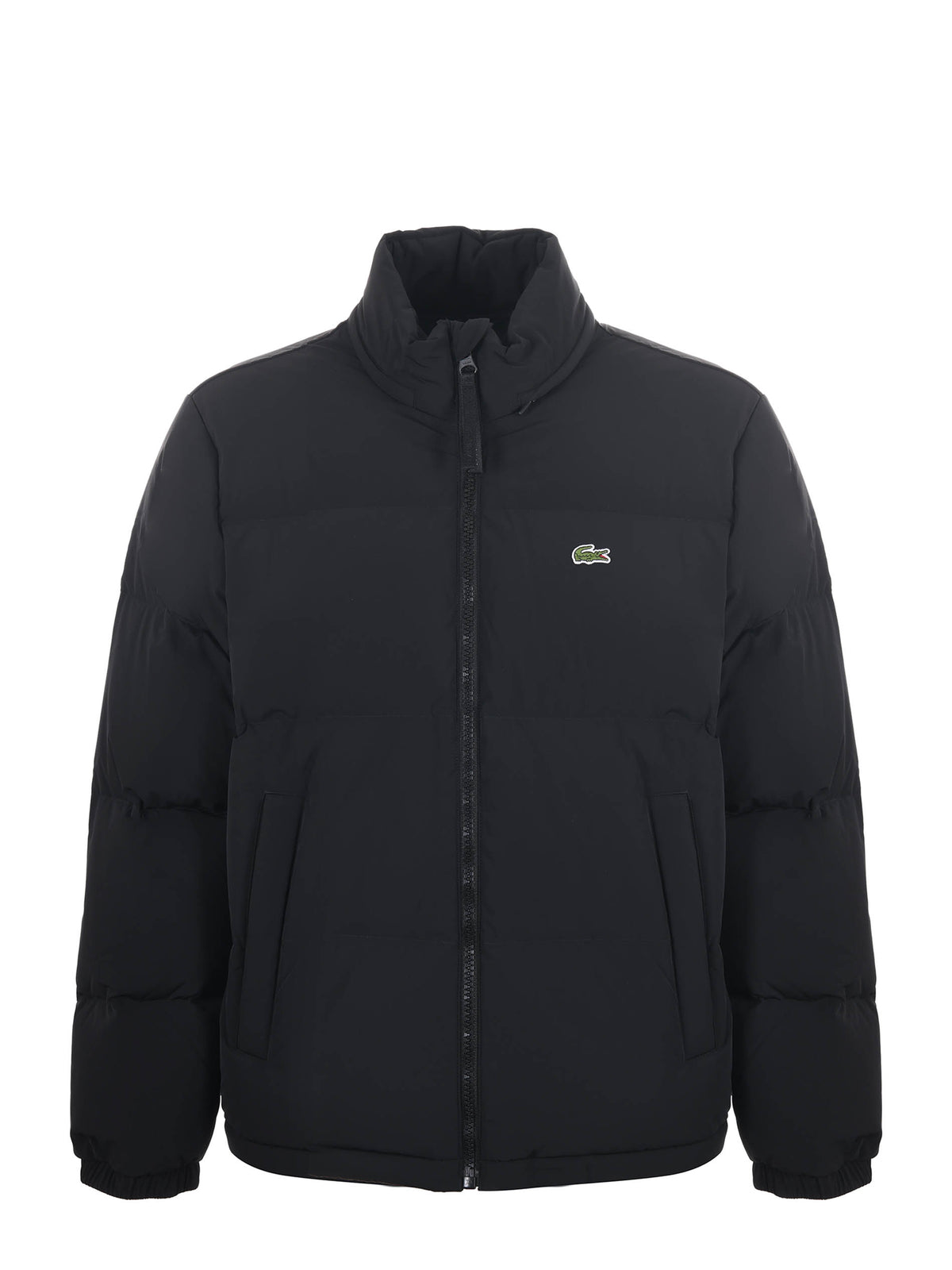 Piumino Lacoste 