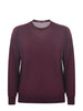 PAOLO PECORA Maglie A001 F001-7635 Vino
