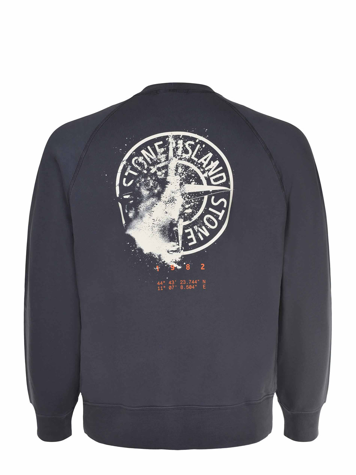 Felpa Stone Island 