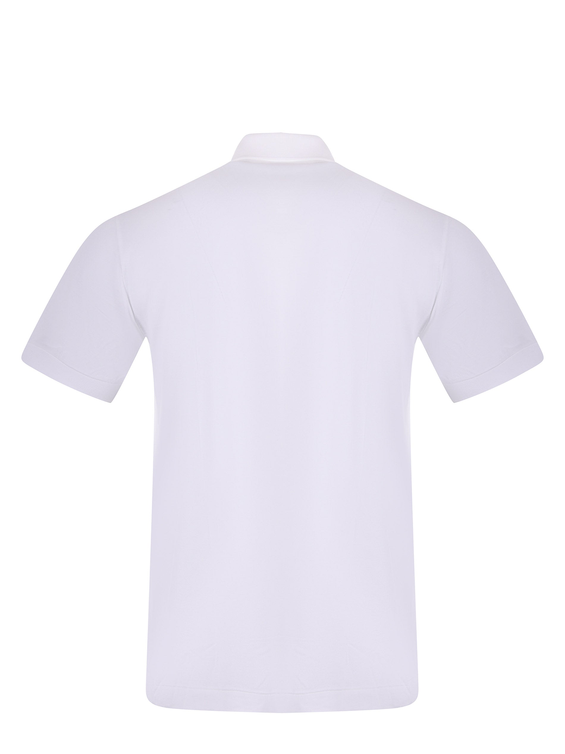 Polo Lacoste <BR/> 