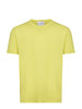 AMARANTH T-shirt B6D0054 21M Cedar