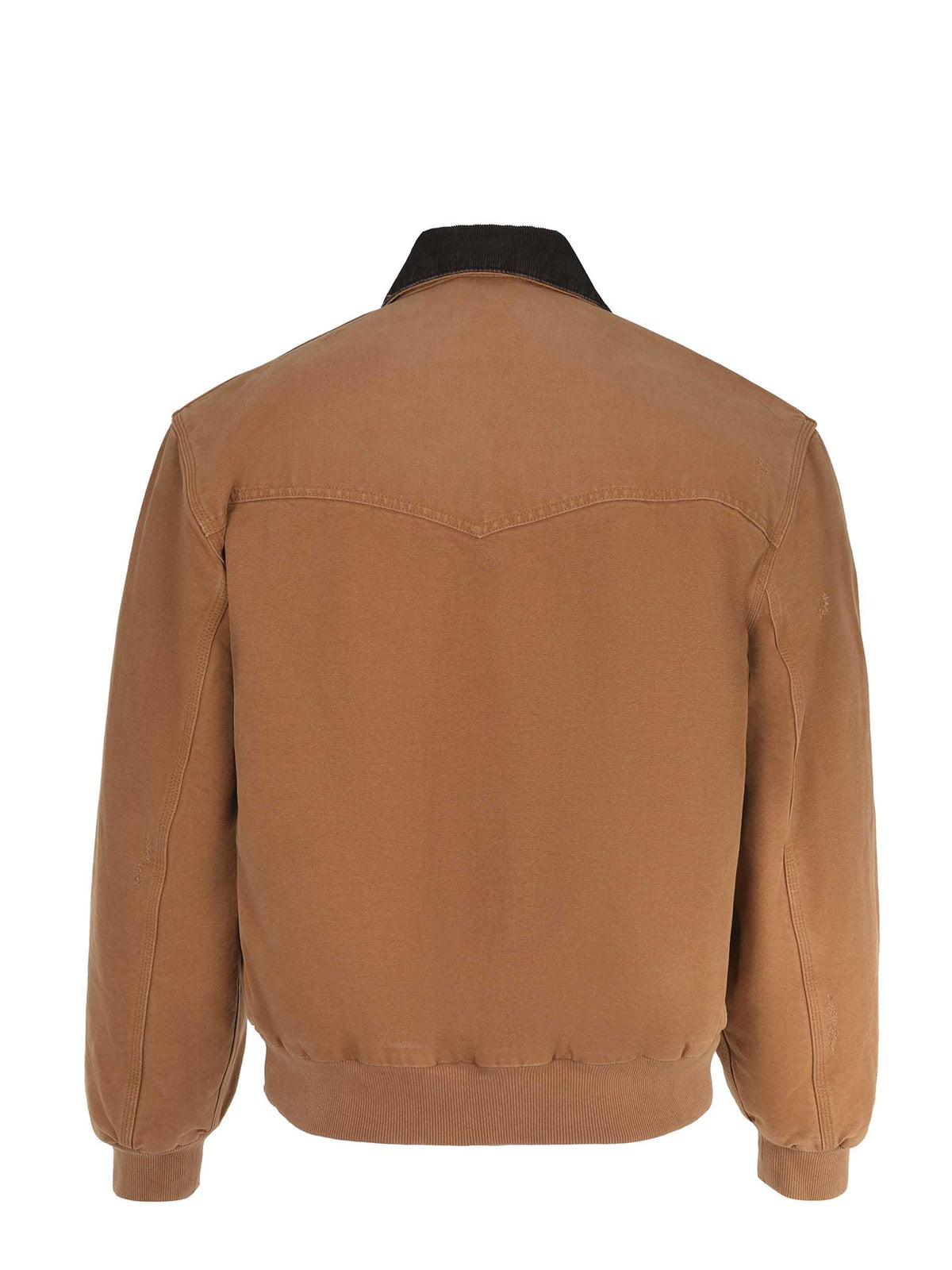 Giubbino Carhartt 
