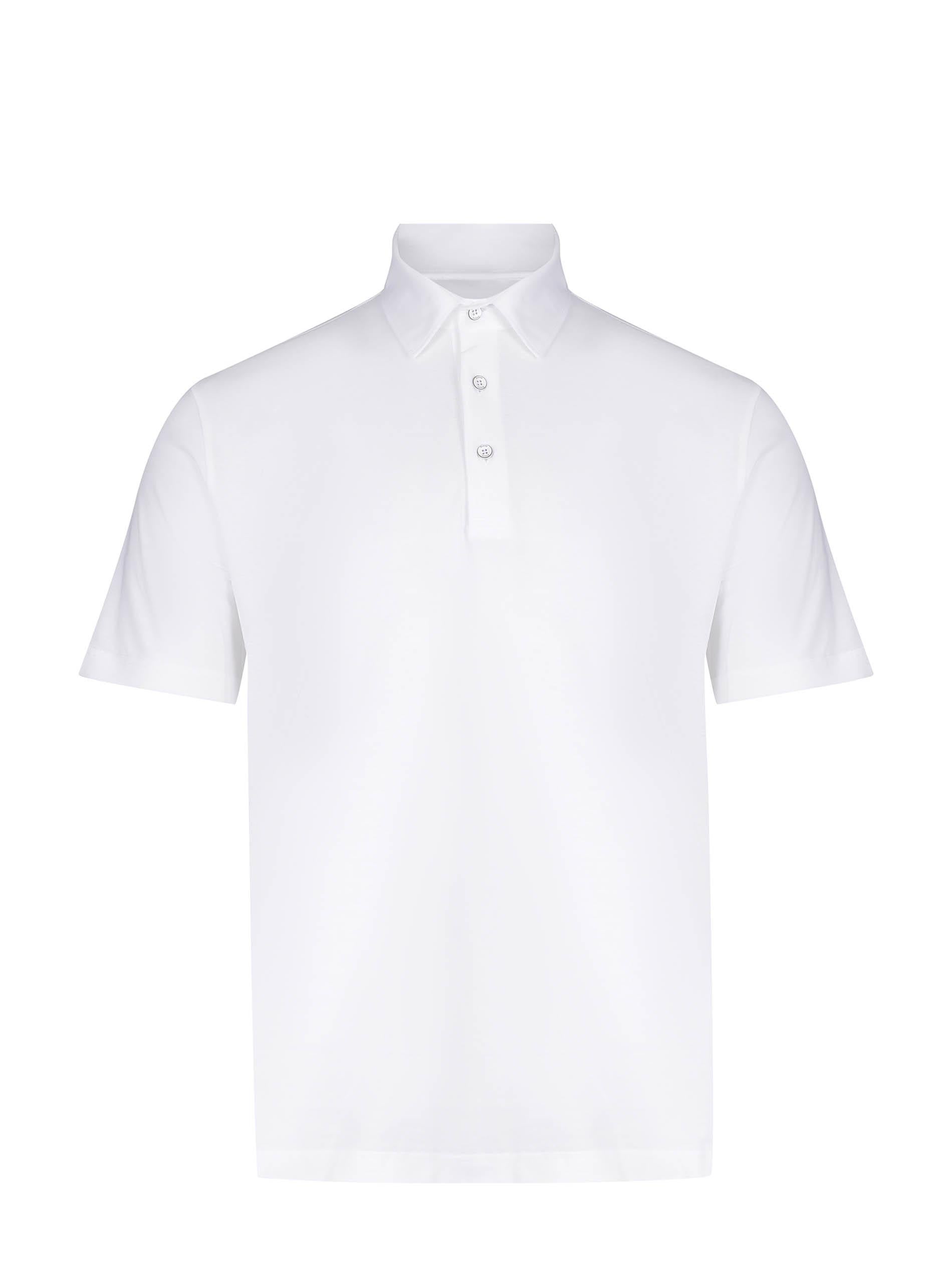 Polo Herno 