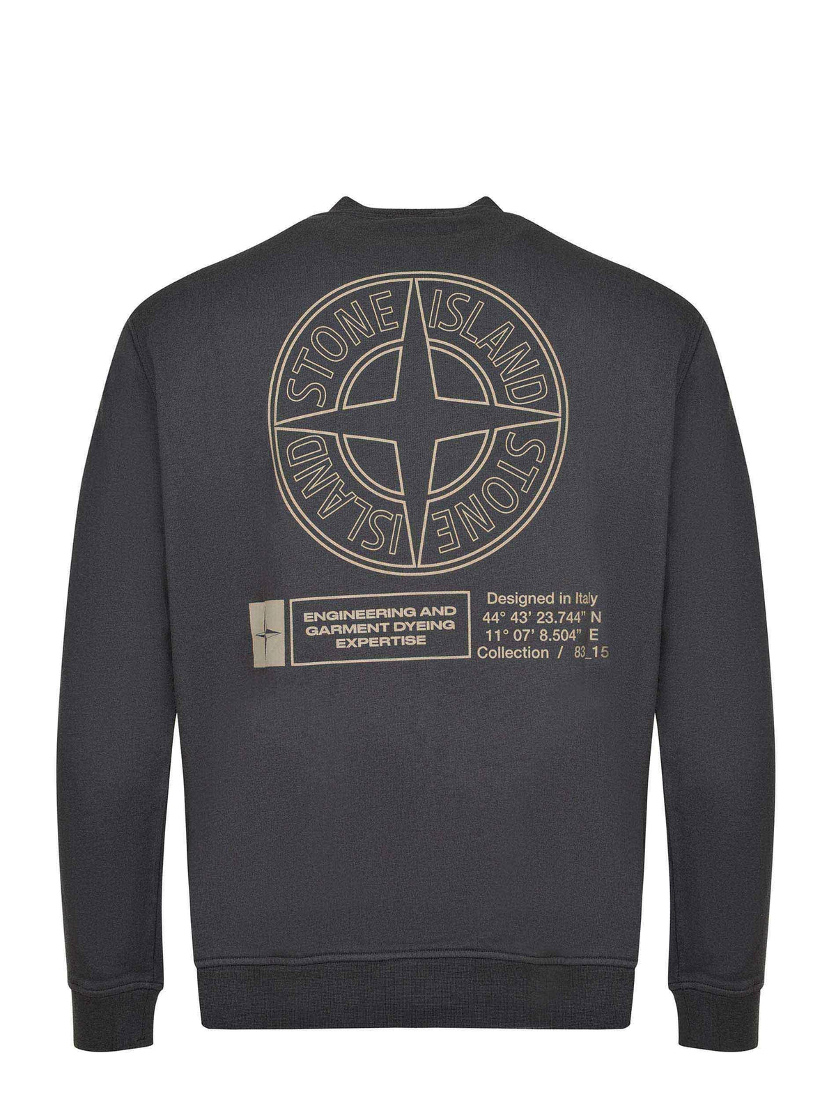 Felpa Stone Island 