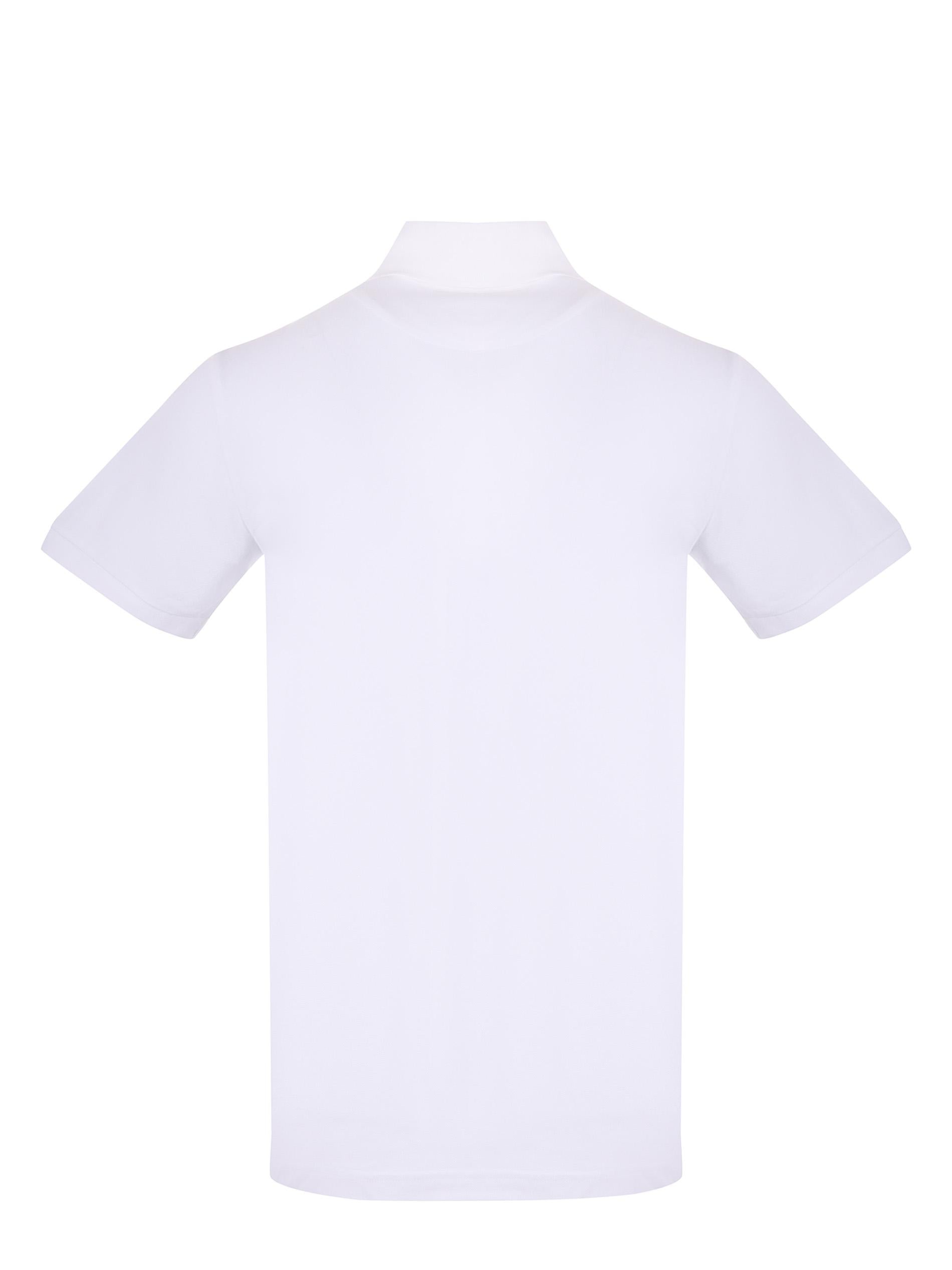 Polo Etro 